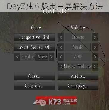 DayZ独立版黑白屏解决方法